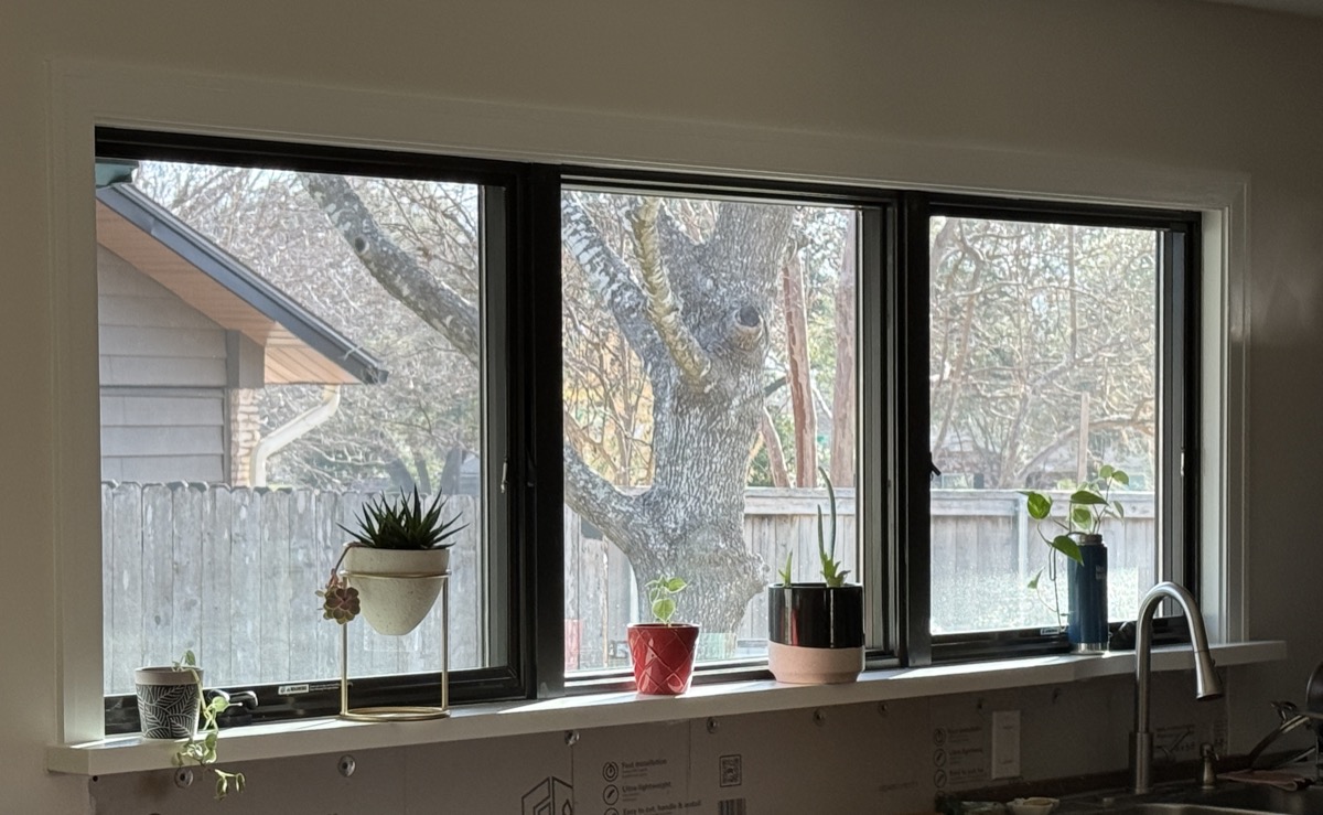 Three black-framed windows in a row above a kitchen sink, looking out onto a backyard tree